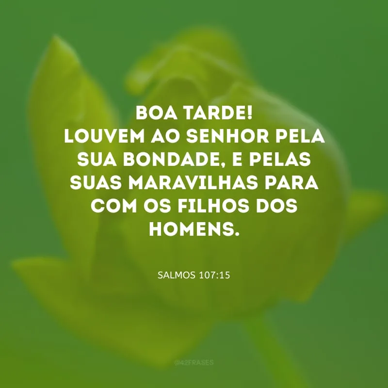 Boa tarde! Louvem ao Senhor pela sua bondade, e pelas suas maravilhas para com os filhos dos homens.