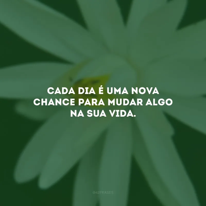 Cada dia é uma nova chance para mudar algo na sua vida. 