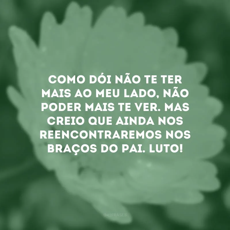 Como dói não te ter mais ao meu lado, não poder mais te ver. Mas creio que ainda nos reencontraremos nos braços do Pai. Luto!