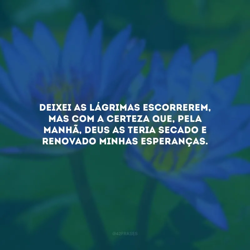 Deixei as lágrimas escorrerem, mas com a certeza que, pela manhã, Deus as teria secado e renovado minhas esperanças.