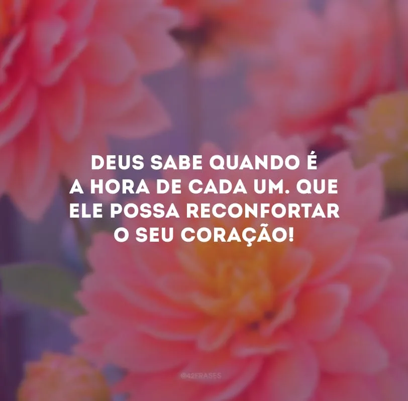 Deus sabe quando é a hora de cada um. Que Ele possa reconfortar o seu coração!