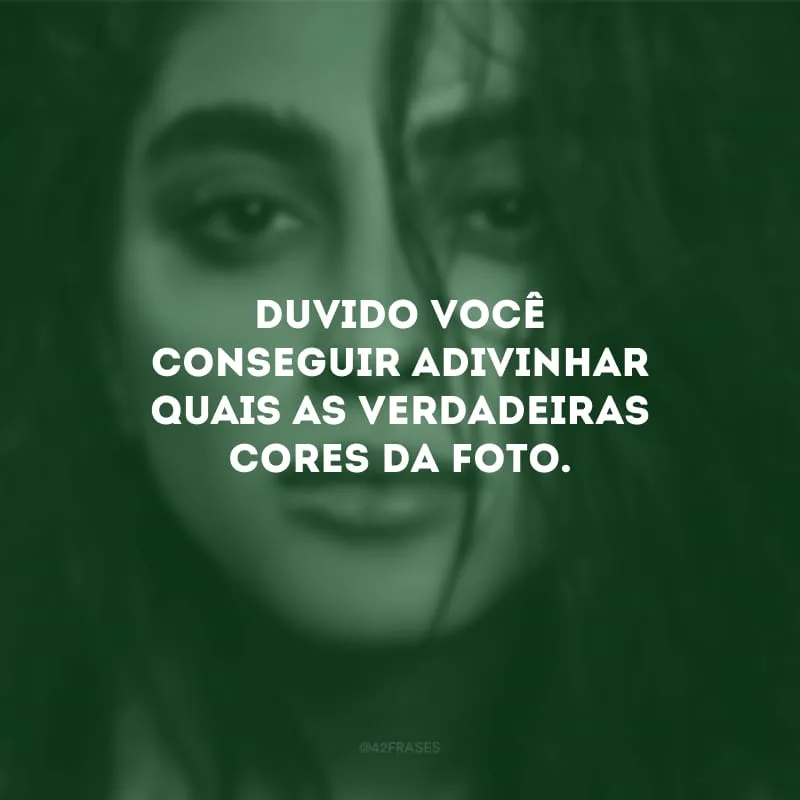 Duvido você conseguir adivinhar quais as verdadeiras cores da foto.