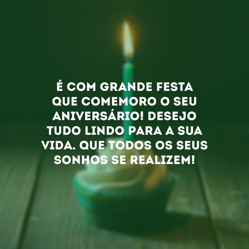 É com grande festa que comemoro o seu aniversário! Desejo tudo lindo para a sua vida. Que todos os seus sonhos se realizem!