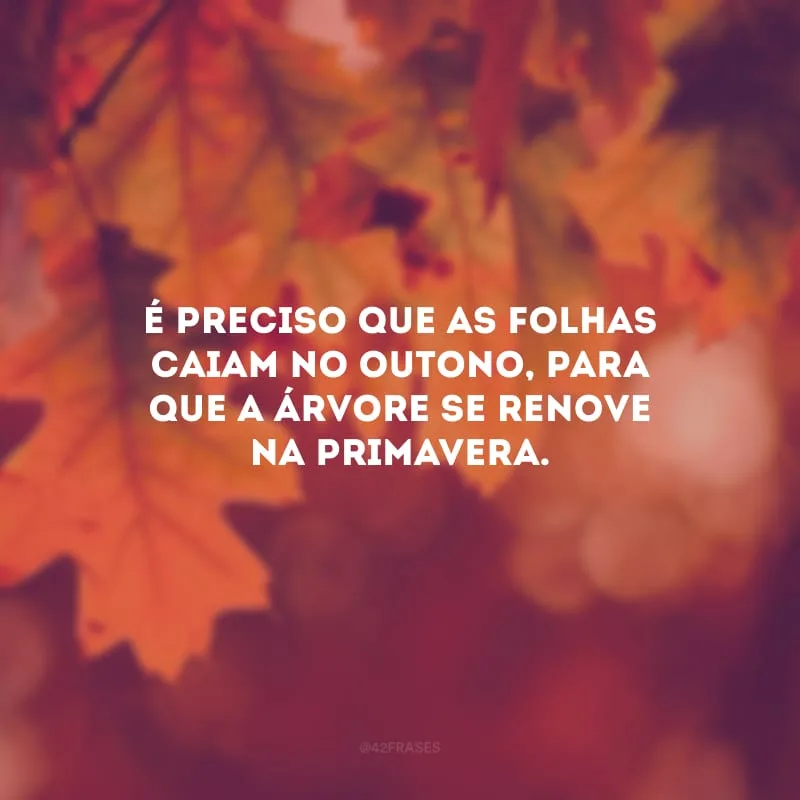 É preciso que as folhas caiam no outono, para que a árvore se renove na primavera.