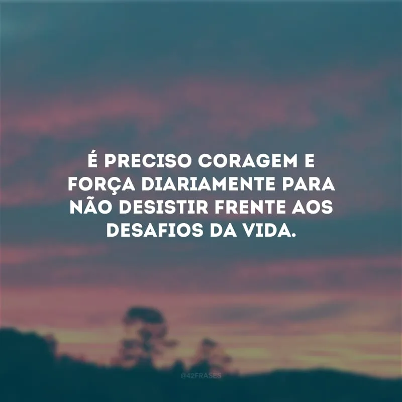 É preciso coragem e força diariamente para não desistir frente aos desafios da vida.