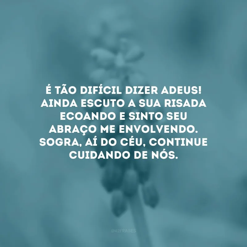 É tão difícil dizer adeus! Ainda escuto a sua risada ecoando e sinto seu abraço me envolvendo. Sogra, aí do céu, continue cuidando de nós.