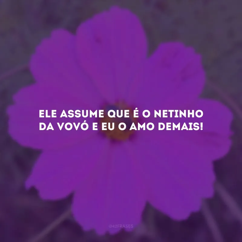 Ele assume que é o netinho da vovó e eu o amo demais!