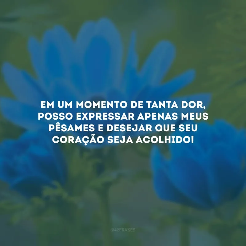 Em um momento de tanta dor, posso expressar apenas meus pêsames e desejar que seu coração seja acolhido!
