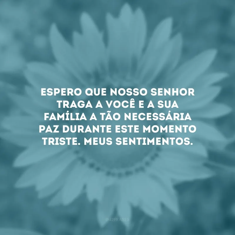 Espero que nosso Senhor traga a você e a sua família a tão necessária paz durante este momento triste. Meus sentimentos.