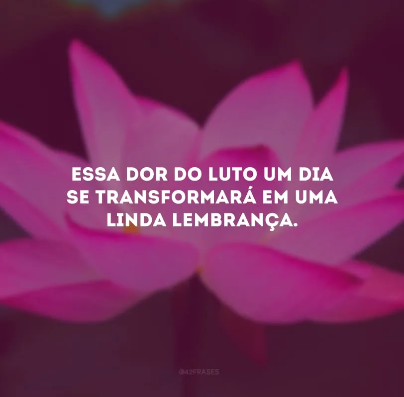 Essa dor do luto um dia se transformará em uma linda lembrança. 