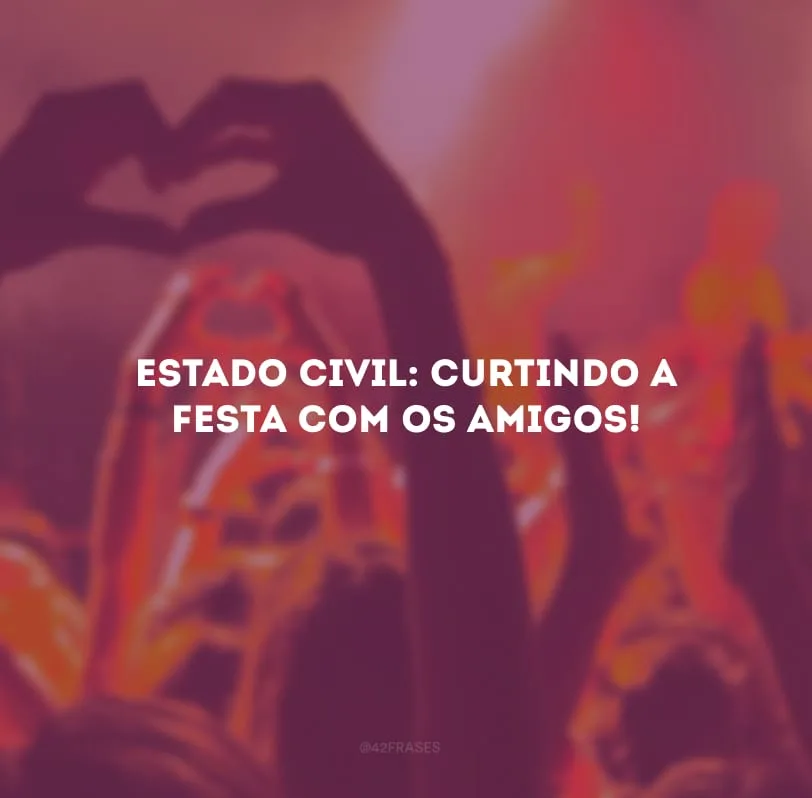 Estado civil: curtindo a festa com os amigos!