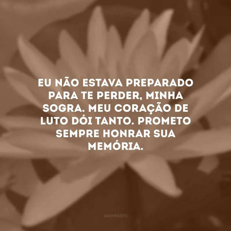 Eu não estava preparado para te perder, minha sogra. Meu coração de luto dói tanto. Prometo sempre honrar sua memória.