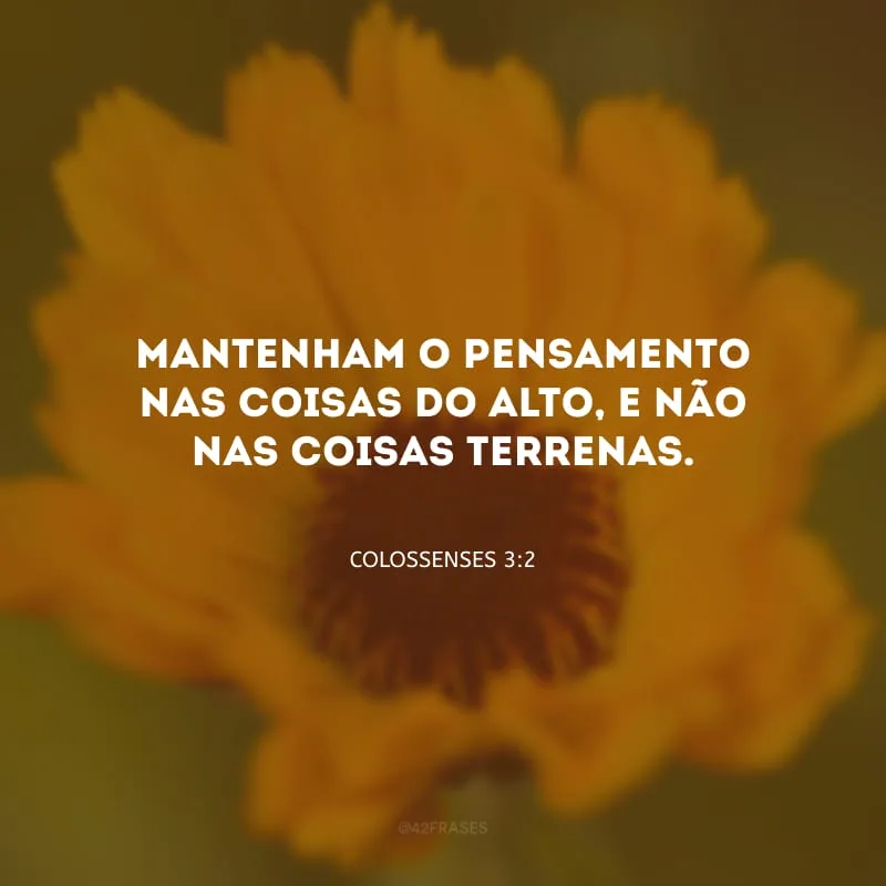 Mantenham o pensamento nas coisas do alto, e não nas coisas terrenas.
