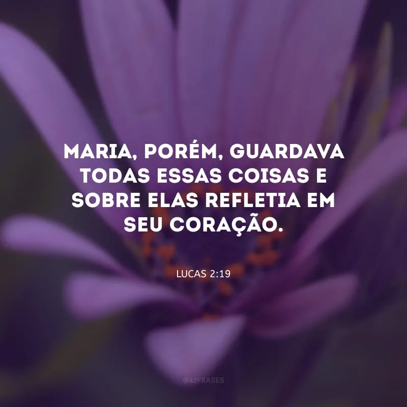Maria, porém, guardava todas essas coisas e sobre elas refletia em seu coração.
