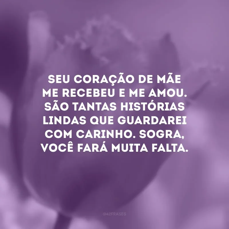 Seu coração de mãe me recebeu e me amou. São tantas histórias lindas que guardarei com carinho. Sogra, você fará muita falta.