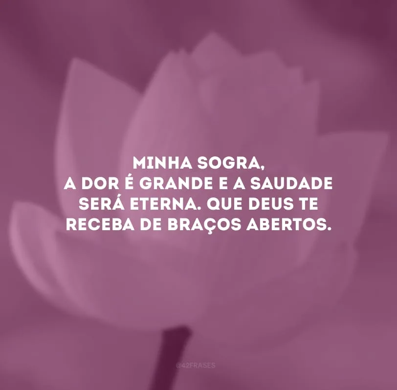 Minha sogra, a dor é grande e a saudade será eterna. Que Deus te receba de braços abertos.
