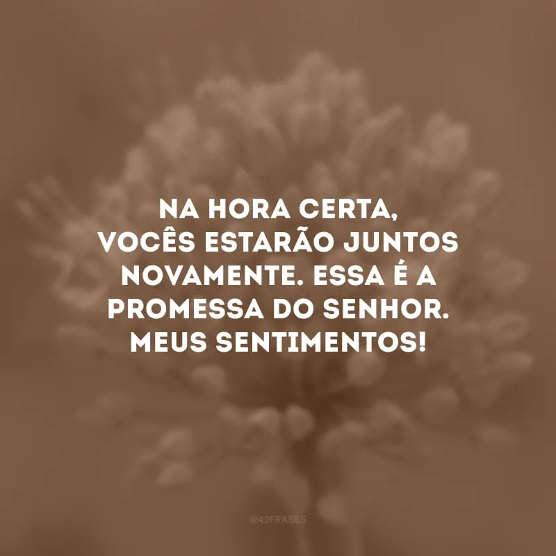 Na hora certa, vocês estarão juntos novamente. Essa é a promessa do Senhor. Meus sentimentos!