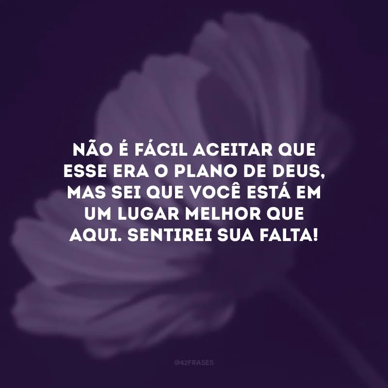 Não é fácil aceitar que esse era o plano de Deus, mas sei que você está em um lugar melhor que aqui. Sentirei sua falta!