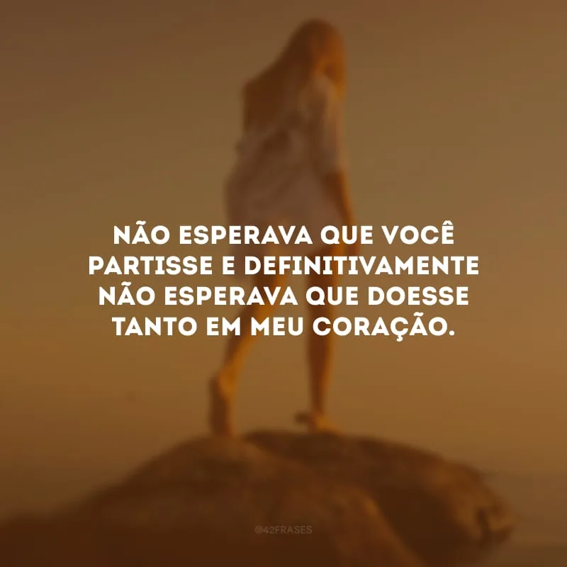 Não esperava que você partisse e definitivamente não esperava que doesse tanto em meu coração.