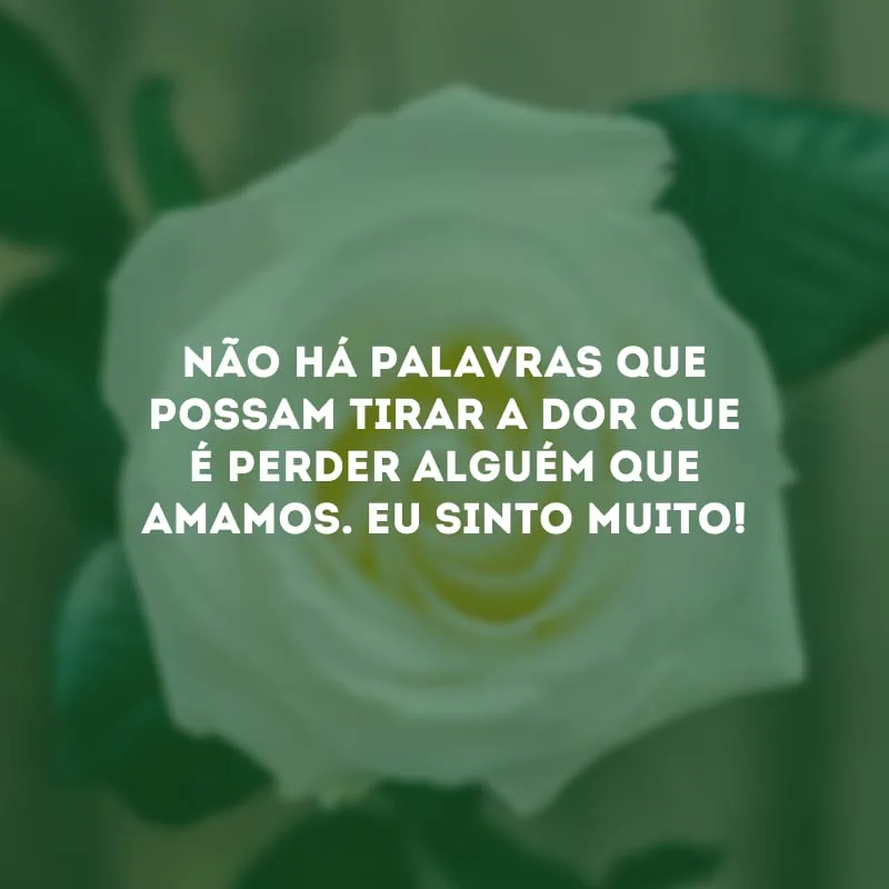 Não há palavras que possam tirar a dor que é perder alguém que amamos. Eu sinto muito!