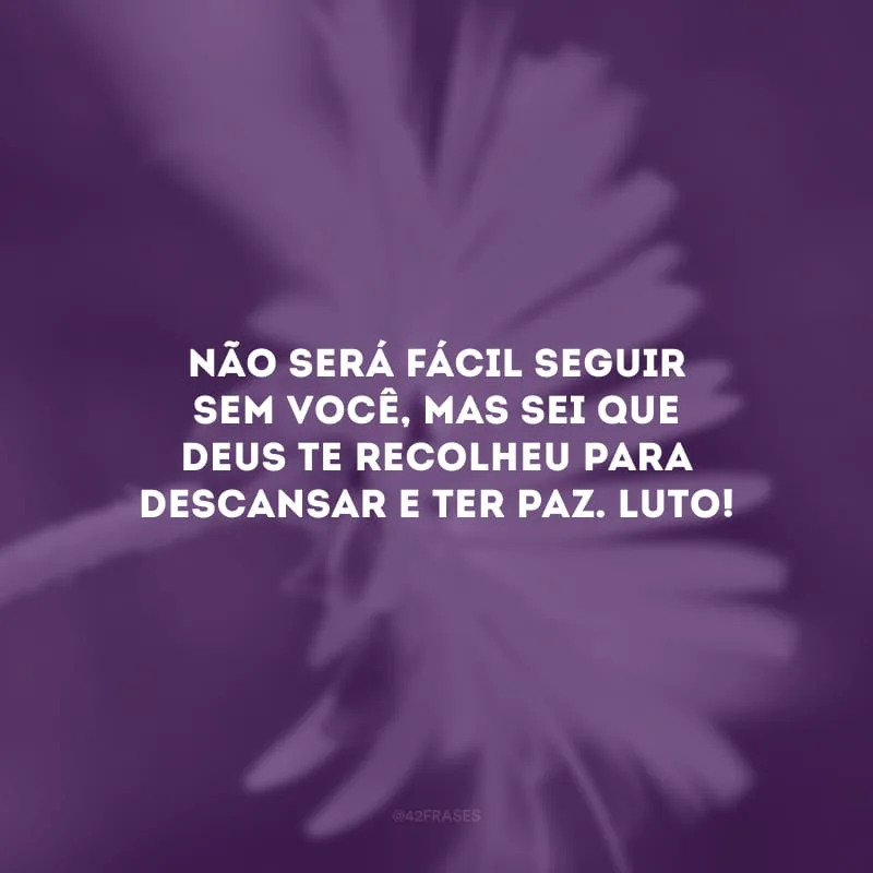 Não será fácil seguir sem você, mas sei que Deus te recolheu para descansar e ter paz. Luto!