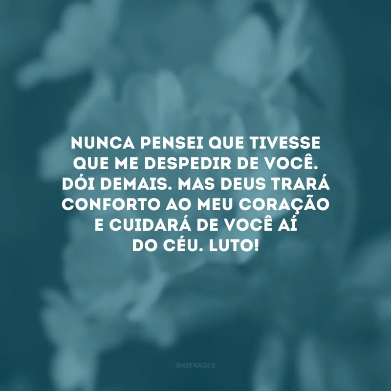 Nunca pensei que tivesse que me despedir de você. Dói demais. Mas Deus trará conforto ao meu coração e cuidará de você aí do céu. Luto!