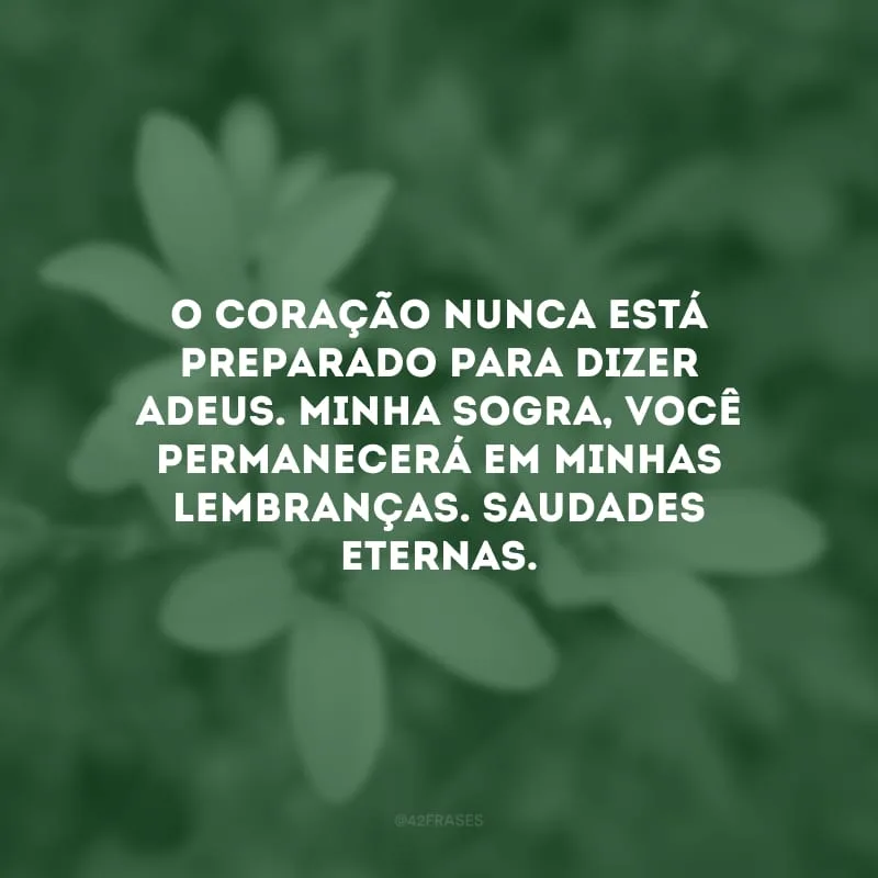 O coração nunca está preparado para dizer adeus. Minha sogra, você permanecerá em minhas lembranças. Saudades eternas.