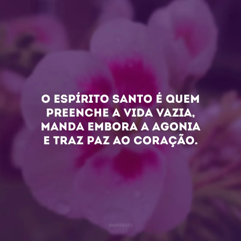 O Espírito Santo é quem preenche a vida vazia, manda embora a agonia e traz paz ao coração. 
