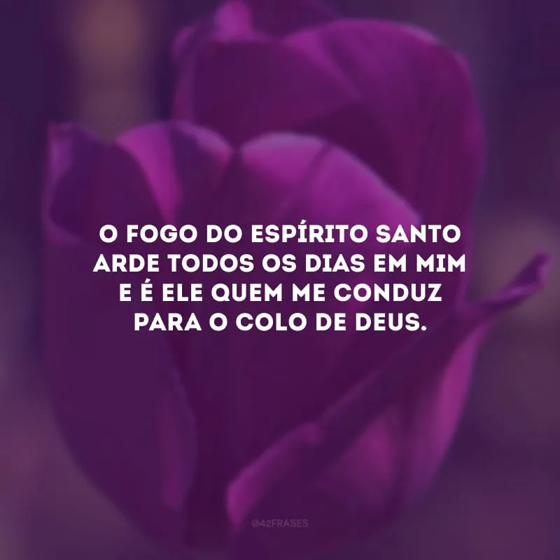 O fogo do Espírito Santo arde todos os dias em mim e é Ele quem me conduz para o colo de Deus. 