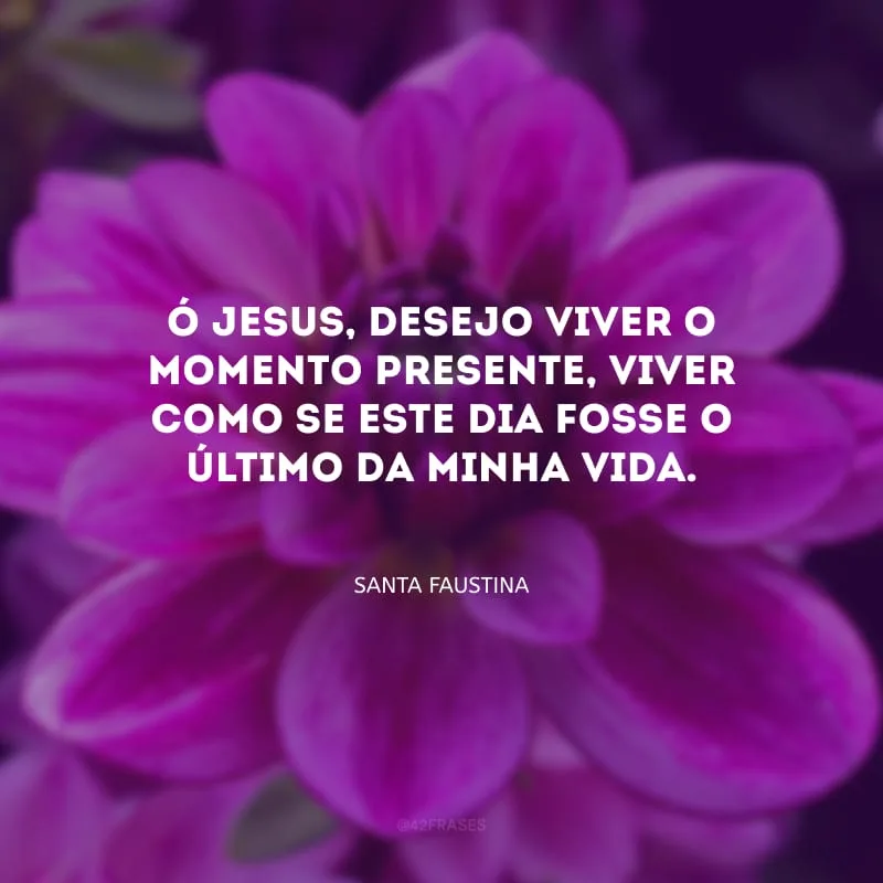 Ó Jesus, desejo viver o momento presente, viver como se este dia fosse o último da minha vida.