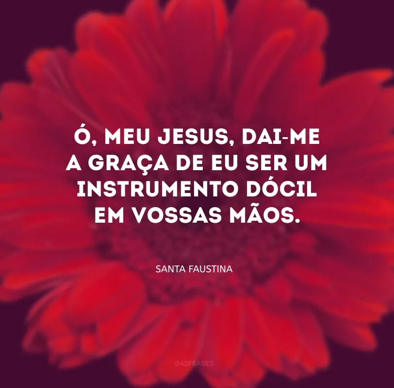 Ó, meu Jesus, dai-me a graça de eu ser um instrumento dócil em Vossas Mãos.
