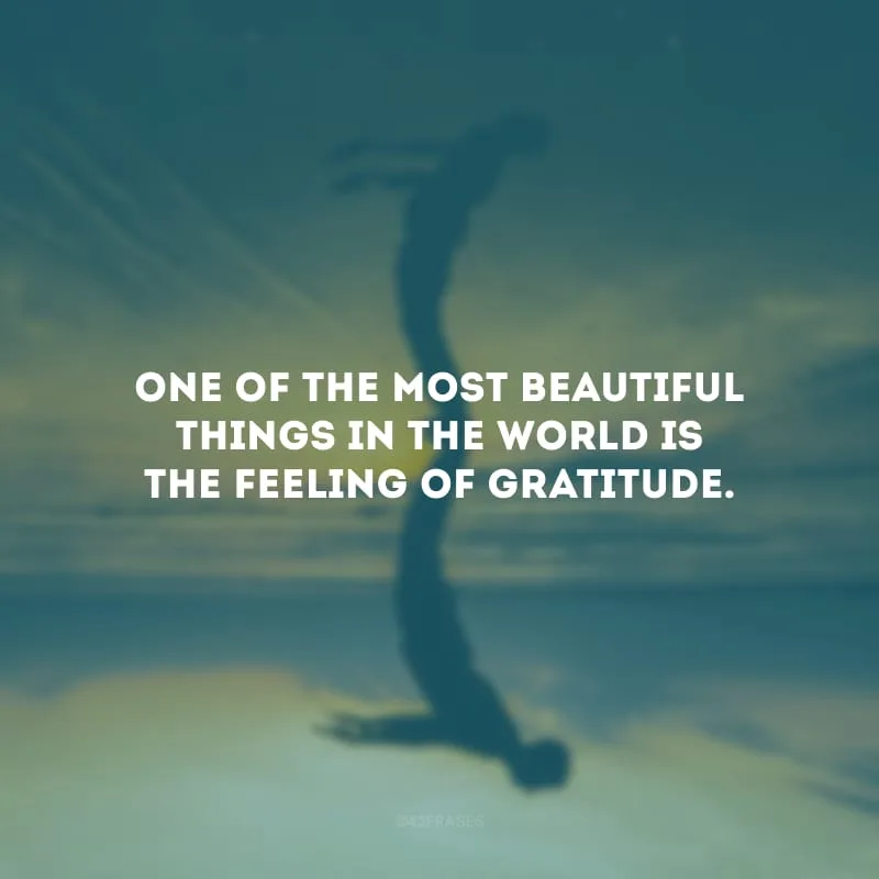 One of the most beautiful things in the world is the feeling of gratitude.
(Uma das coisas mais belas do mundo é o sentimento de gratidão.)