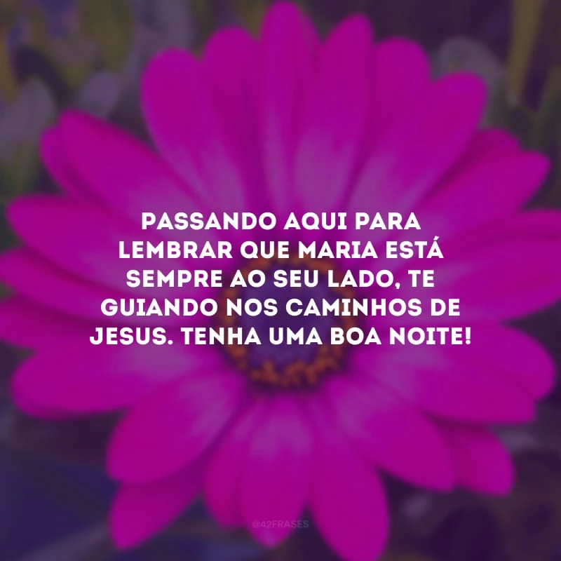 Passando aqui para lembrar que Maria está sempre ao seu lado, te guiando nos caminhos de Jesus. Tenha uma boa noite! 