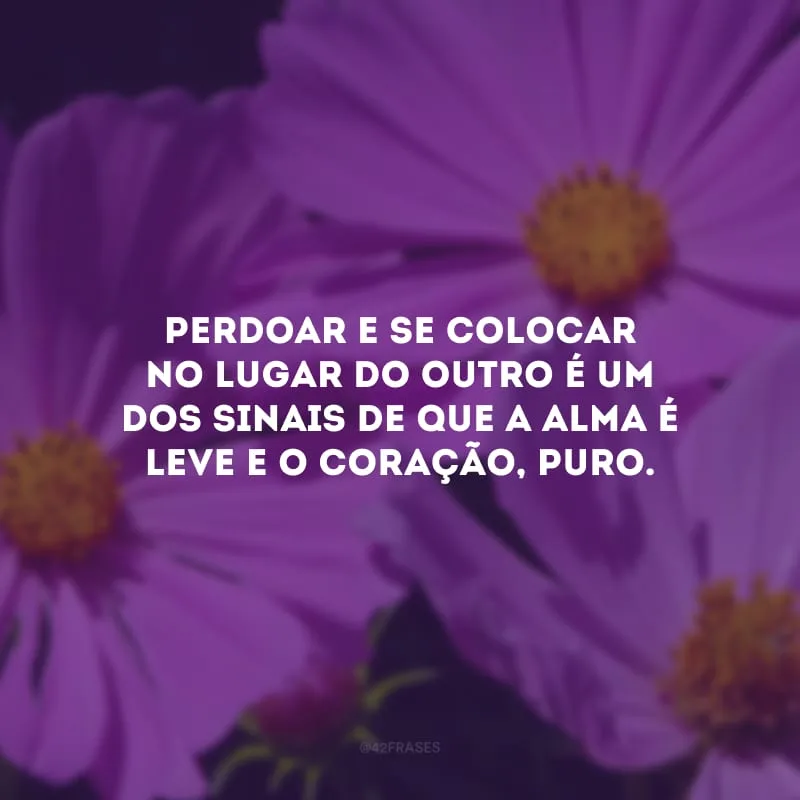 Perdoar e se colocar no lugar do outro é um dos sinais de que a alma é leve e o coração, puro. 