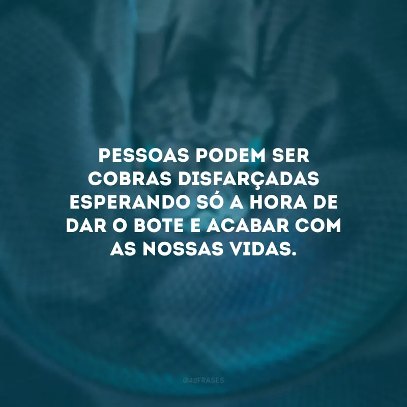 Pessoas podem ser cobras disfarçadas esperando só a hora de dar o bote e acabar com as nossas vidas.