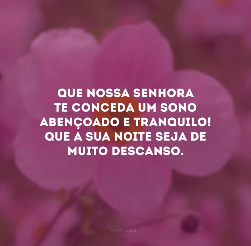 Que Nossa Senhora te conceda um sono abençoado e tranquilo! Que a sua noite seja de muito descanso. 