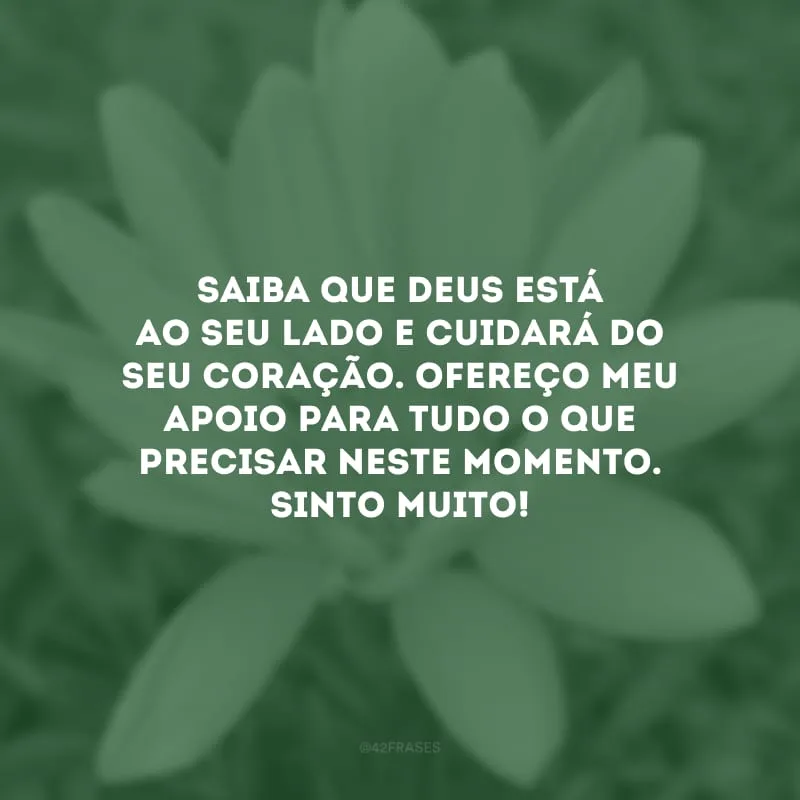 Saiba que Deus está ao seu lado e cuidará do seu coração. Ofereço meu apoio para tudo o que precisar neste momento. Sinto muito!
