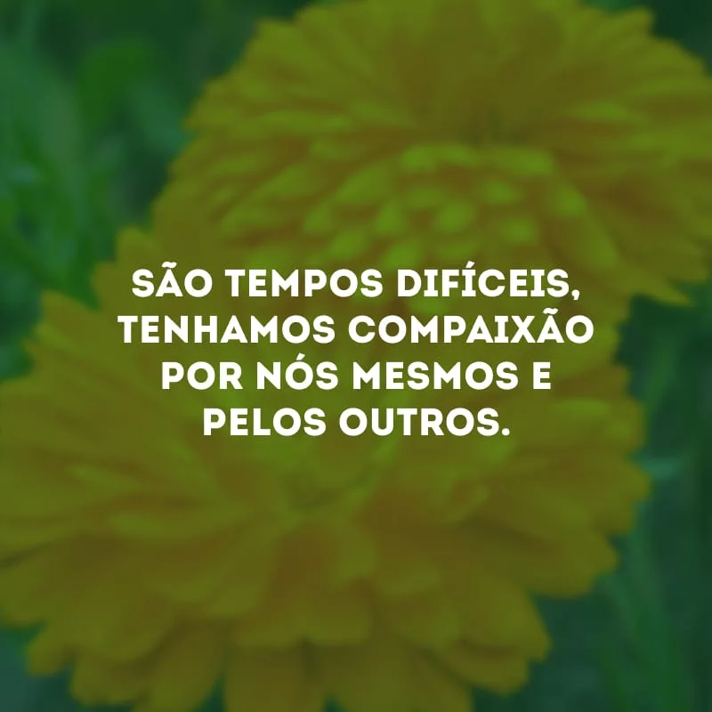 São tempos difíceis, tenhamos compaixão por nós mesmos e pelos outros. 