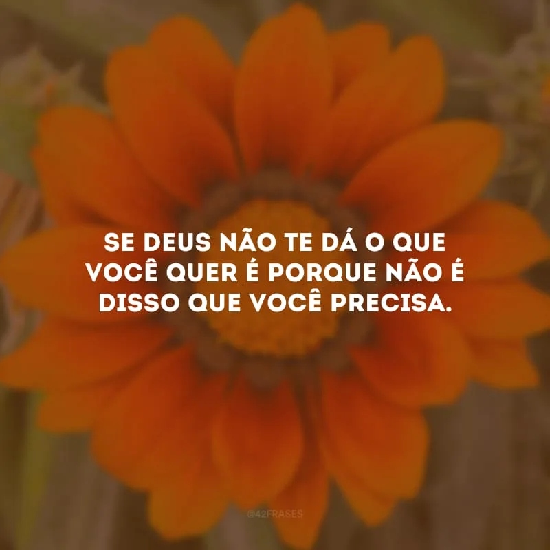 Se Deus não te dá o que você quer é porque não é disso que você precisa. 