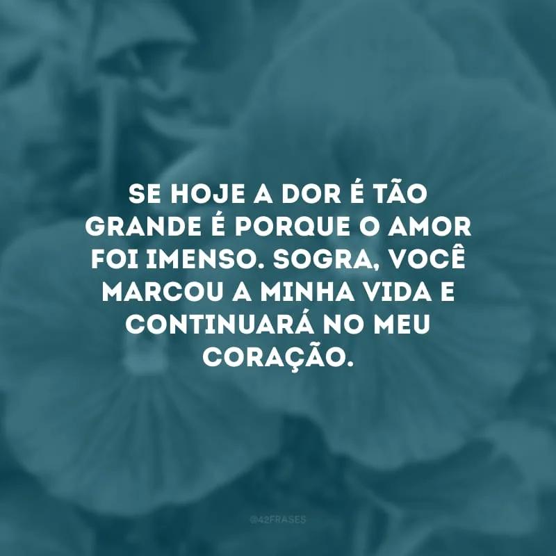 Se hoje a dor é tão grande é porque o amor foi imenso. Sogra, você marcou a minha vida e continuará no meu coração.