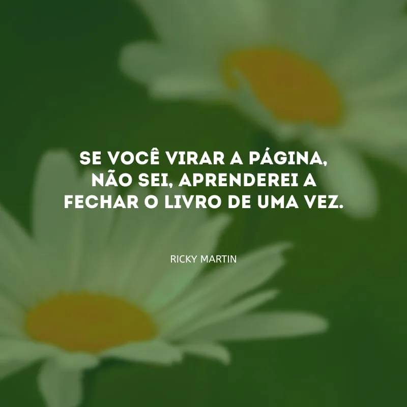 Se você virar a página, não sei, aprenderei a fechar o livro de uma vez.