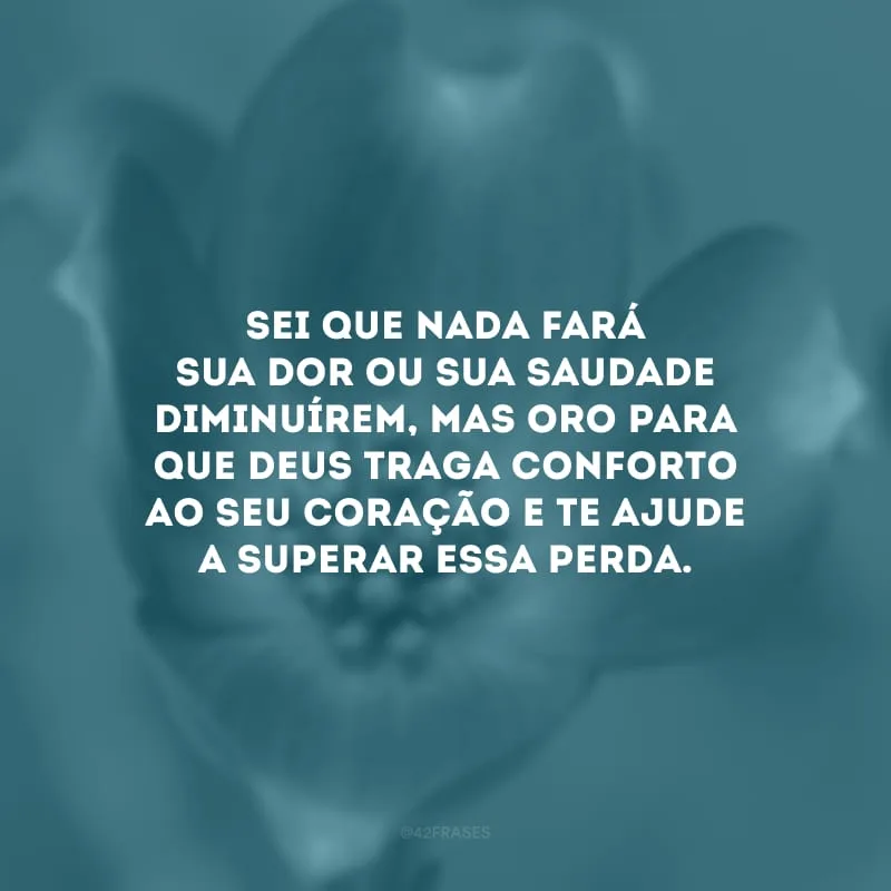 Sei que nada fará sua dor ou sua saudade diminuírem, mas oro para que Deus traga conforto ao seu coração e te ajude a superar essa perda.