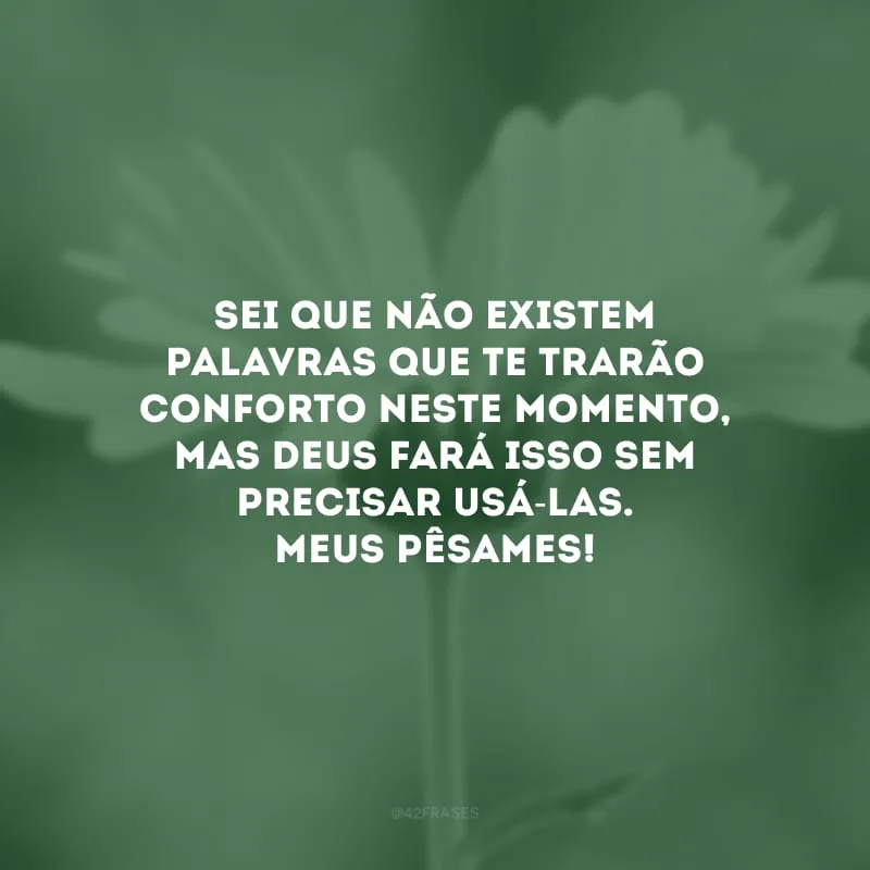 Sei que não existem palavras que te trarão conforto neste momento, mas Deus fará isso sem precisar usá-las. Meus pêsames!
