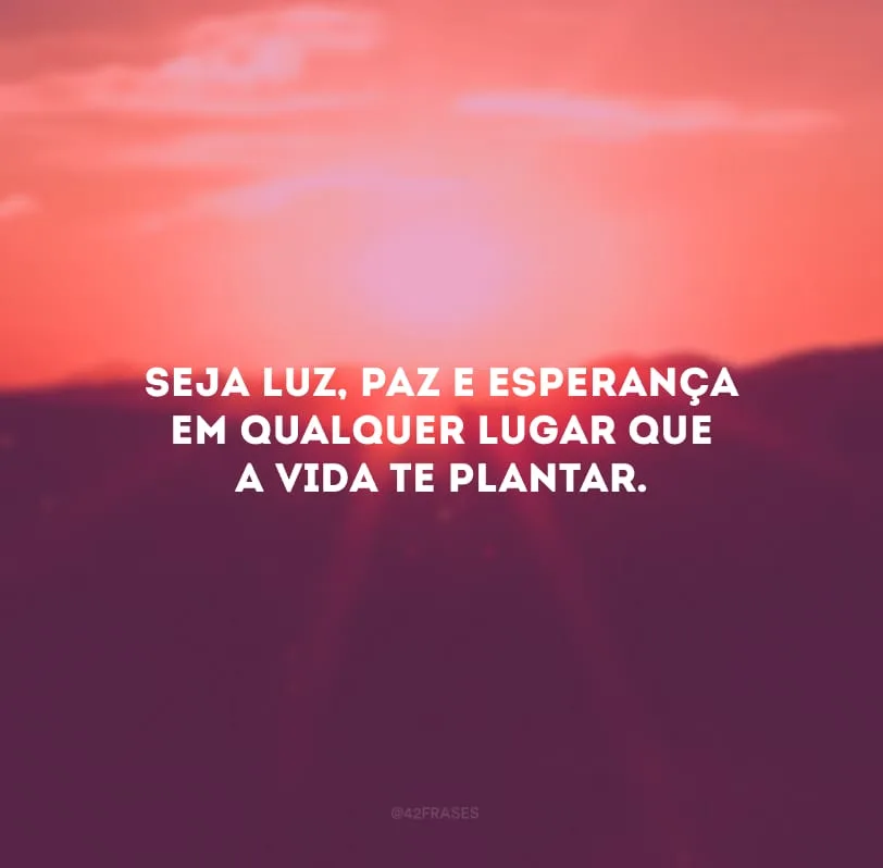 Seja luz, paz e esperança em qualquer lugar que a vida te plantar.