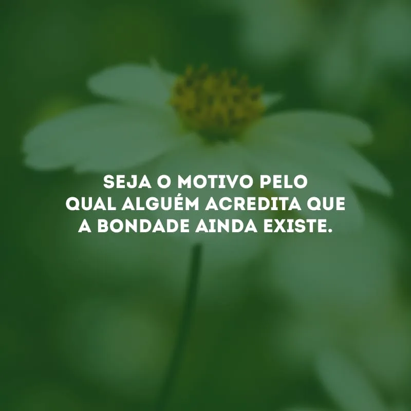 Seja o motivo pelo qual alguém acredita que a bondade ainda existe. 