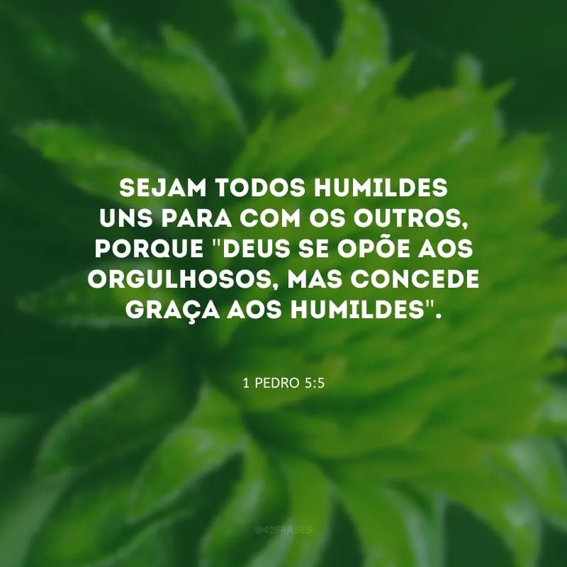 Sejam todos humildes uns para com os outros, porque \"Deus se opõe aos orgulhosos, mas concede graça aos humildes\".