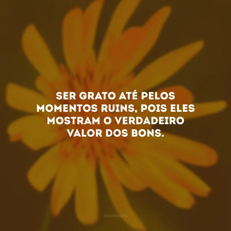 Ser grato até pelos momentos ruins, pois eles mostram o verdadeiro valor dos bons. 