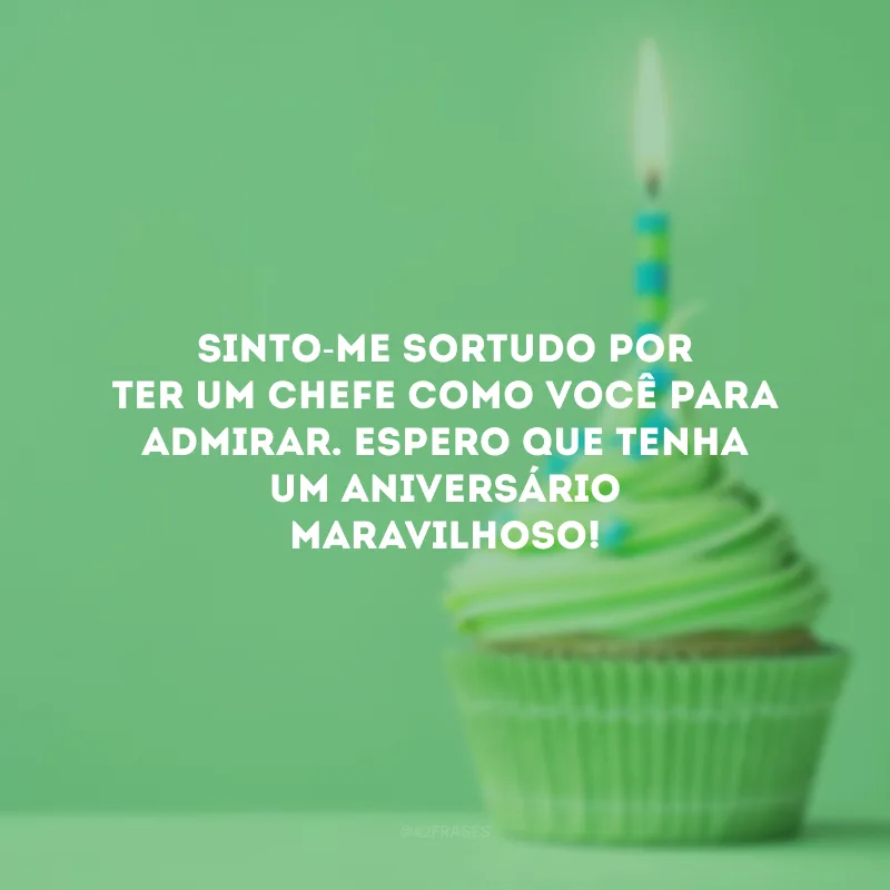Sinto-me sortudo por ter um chefe como você para admirar. Espero que tenha um aniversário maravilhoso!