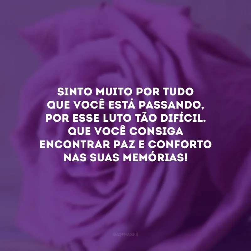 Sinto muito por tudo que você está passando, por esse luto tão difícil. Que você consiga encontrar paz e conforto nas suas memórias! 