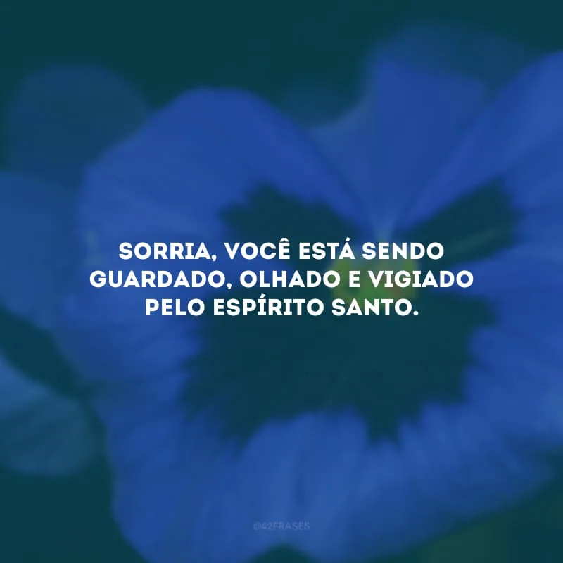 Sorria, você está sendo guardado, olhado e vigiado pelo Espírito Santo. 